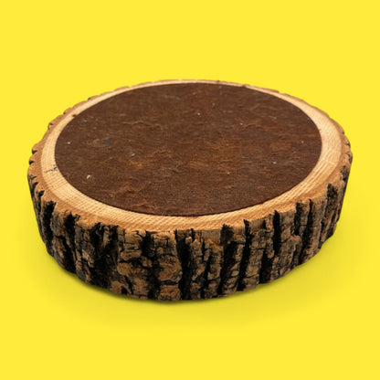 Vintage Live Edge Bark Nut Cracker Bowl Set – Mid-Century Modern Wooden Dish with Tools