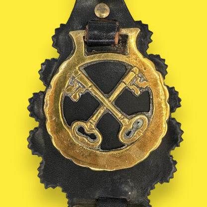 Vintage Horse Brass Medallions on a Leather Strap
