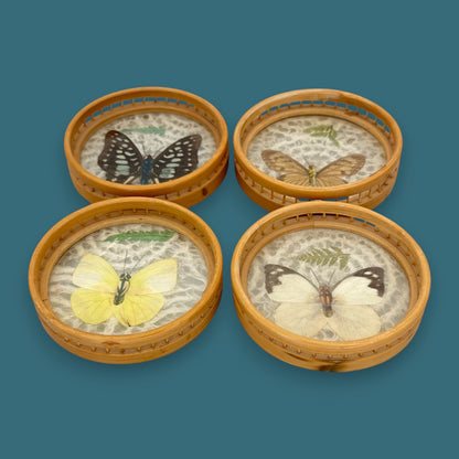 Vintage Butterfly Bamboo Coaster Set – Taxidermy Display (Lot of 4)