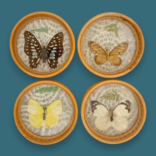 Vintage Butterfly Bamboo Coaster Set – Taxidermy Display (Lot of 4)
