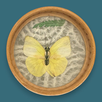 Vintage Butterfly Bamboo Coaster Set – Taxidermy Display (Lot of 4)