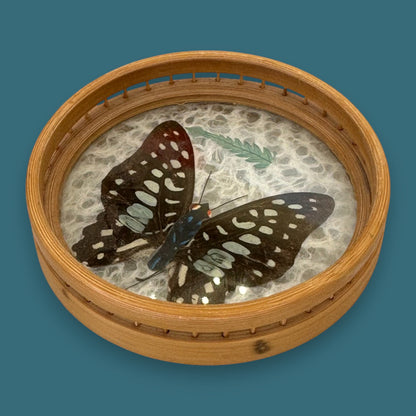 Vintage Butterfly Bamboo Coaster Set – Taxidermy Display (Lot of 4)