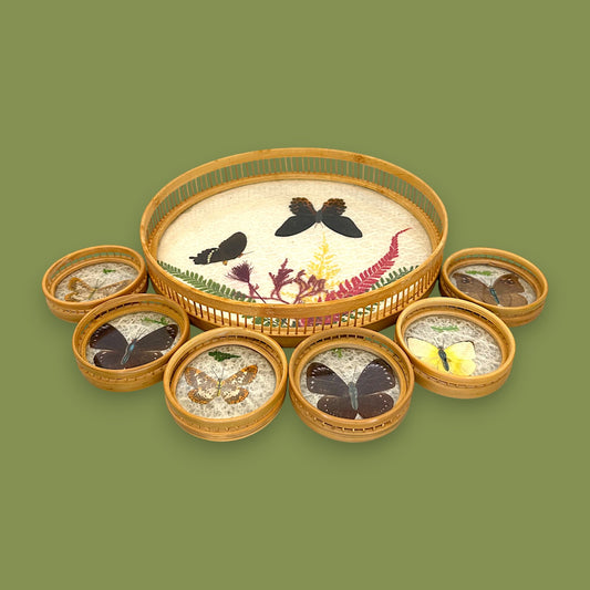 Vintage 1970s Real Butterfly Bamboo Serving Tray & 6 Coasters – Nature’s Art Preserved