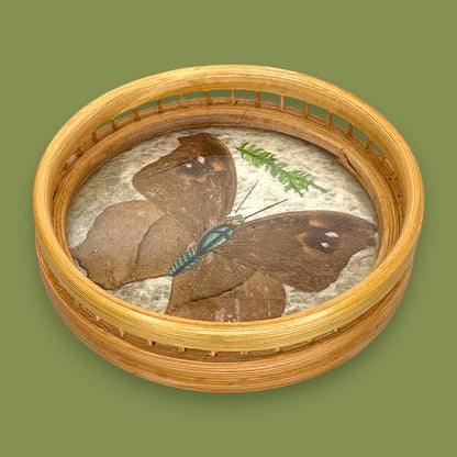 Vintage 1970s Real Butterfly Bamboo Serving Tray & 6 Coasters – Nature’s Art Preserved