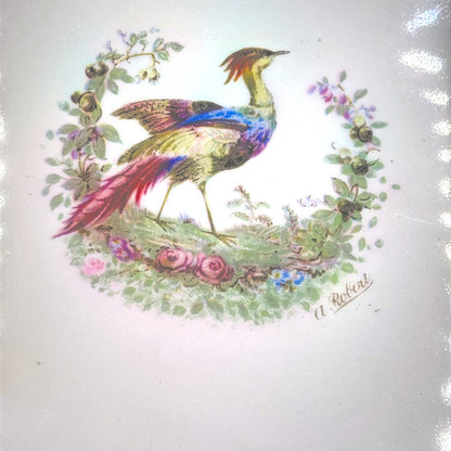 Vintage Myott Royal Crown Staffordshire Chelsea Bird Square Plate 8.5 Inch