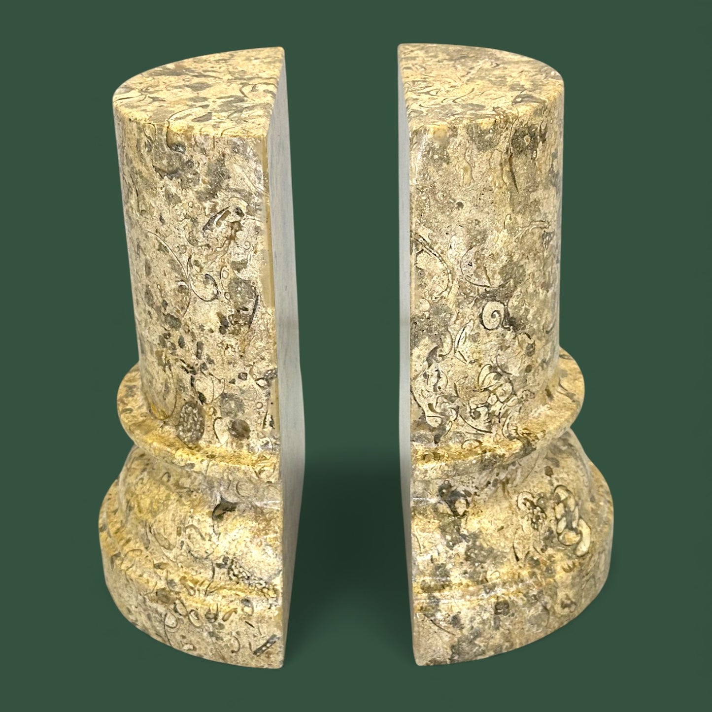 Polished Coquina Stone Fossil Bookends | Carved Natural Shell Display