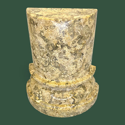 Polished Coquina Stone Fossil Bookends | Carved Natural Shell Display