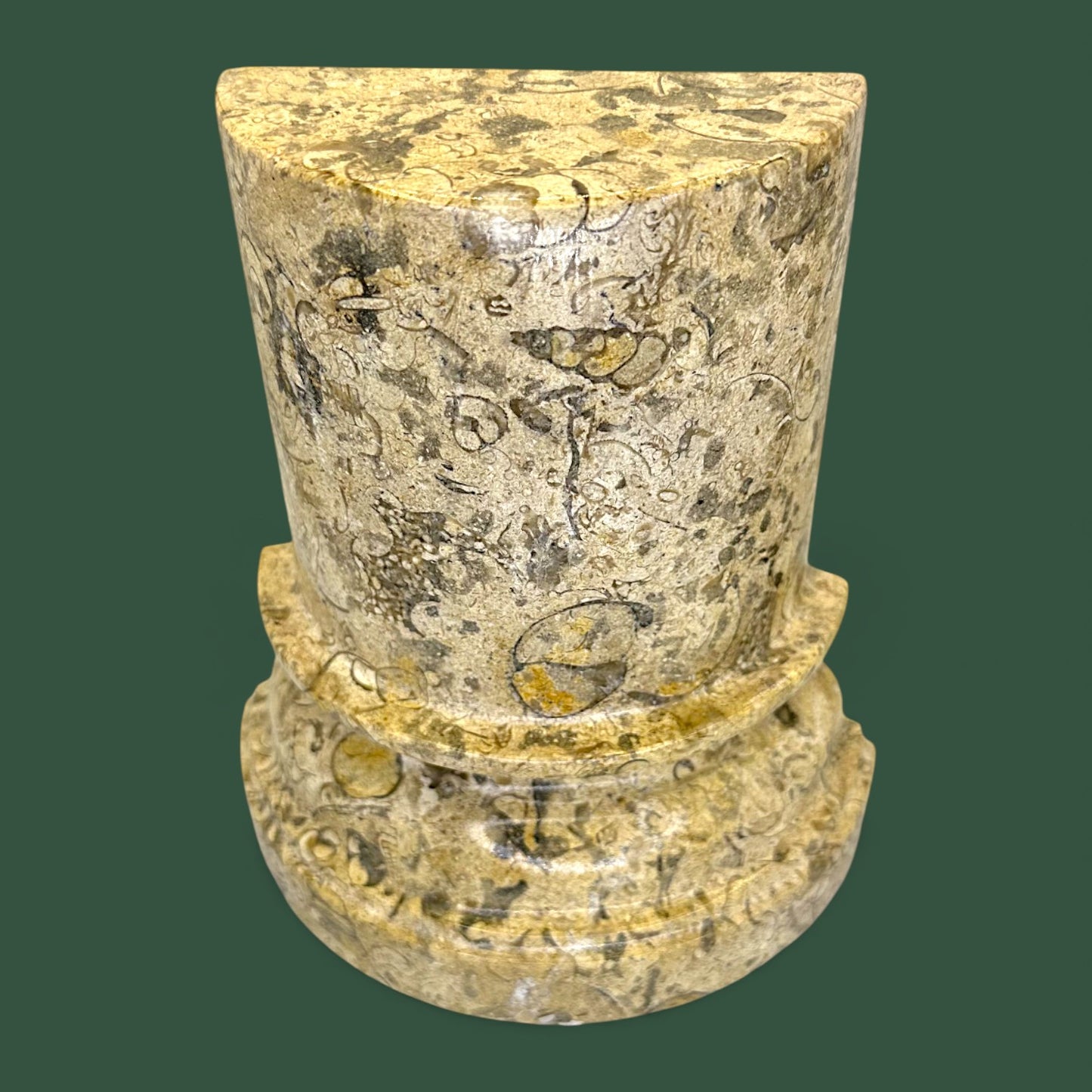 Polished Coquina Stone Fossil Bookends | Carved Natural Shell Display