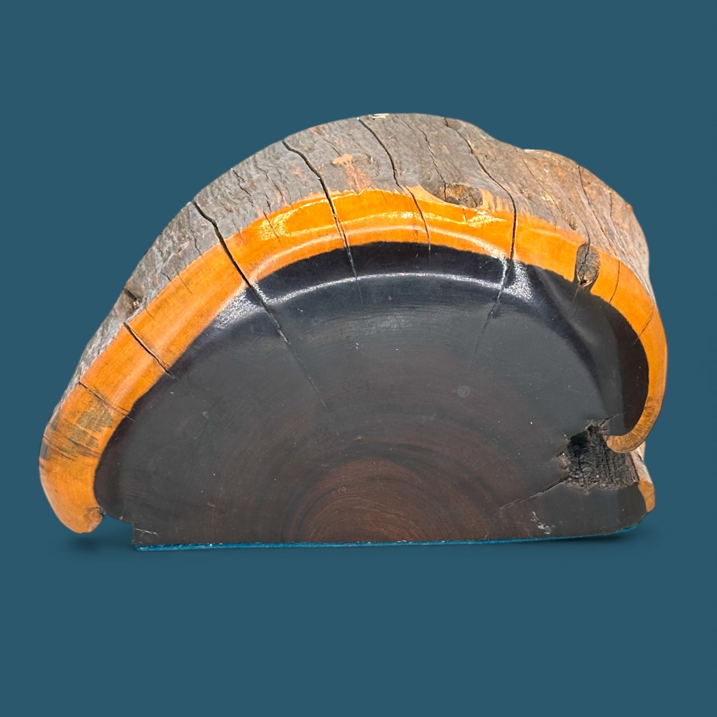 Vintage Australian Mulga Wood Book Ends - Mid Century Pair - Unique