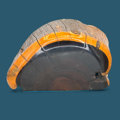 Vintage Australian Mulga Wood Book Ends - Mid Century Pair - Unique