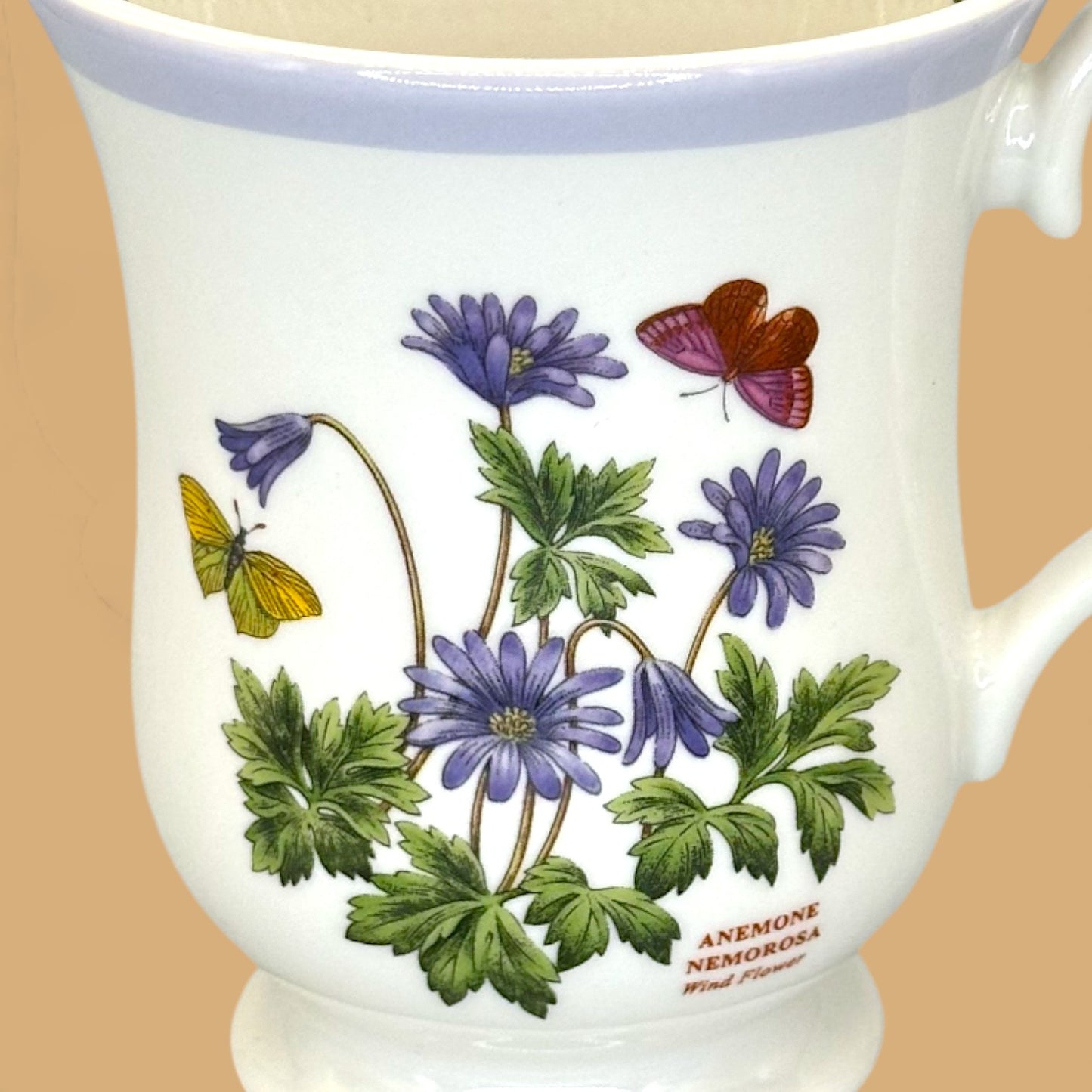 Vintage Portmeirion Botanic Garden Terrace replacement mug ✨