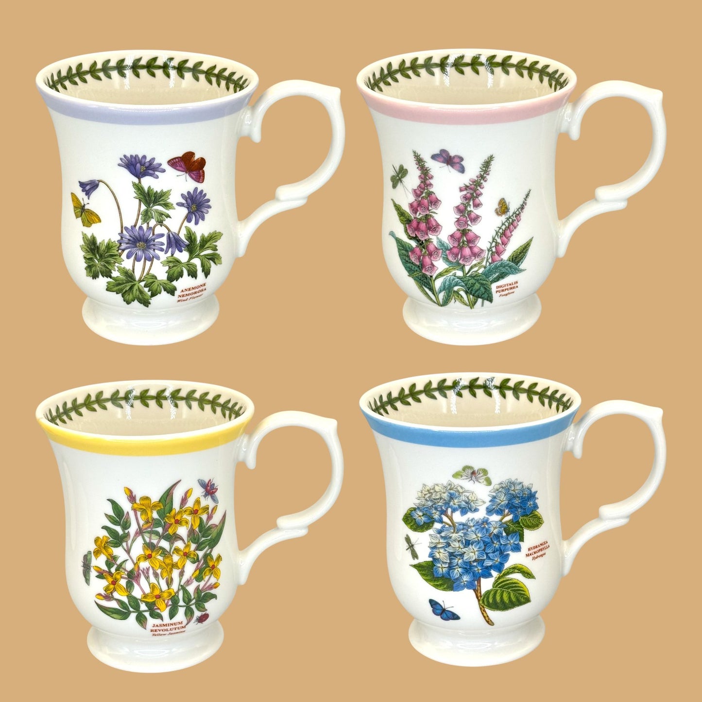 Vintage Portmeirion Botanic Garden Terrace replacement mug ✨