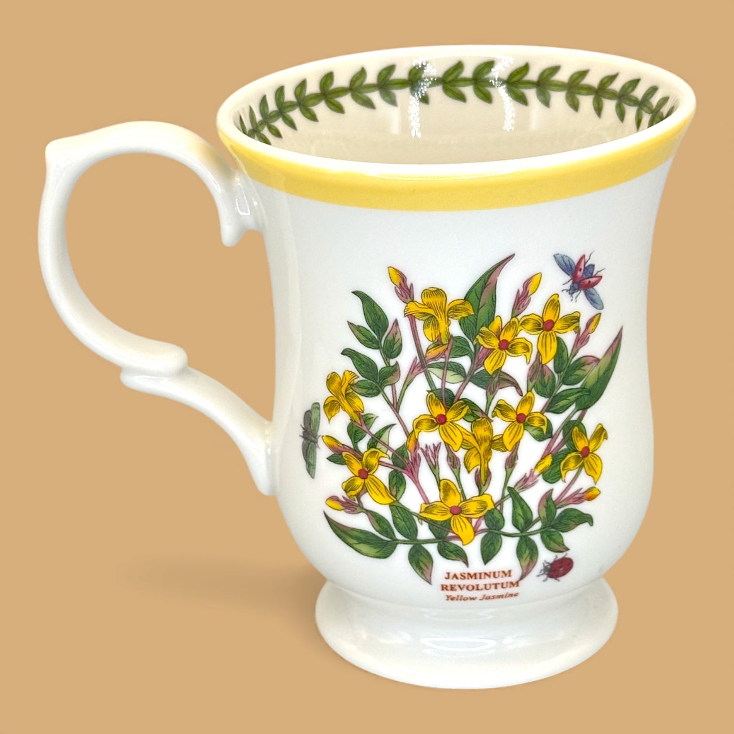Vintage Portmeirion Botanic Garden Terrace replacement mug ✨