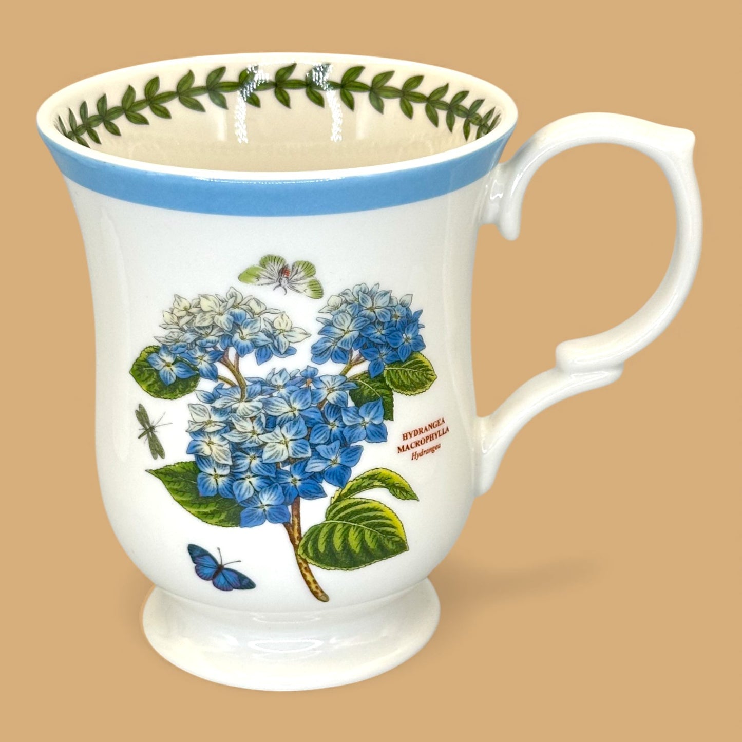 Vintage Portmeirion Botanic Garden Terrace replacement mug ✨