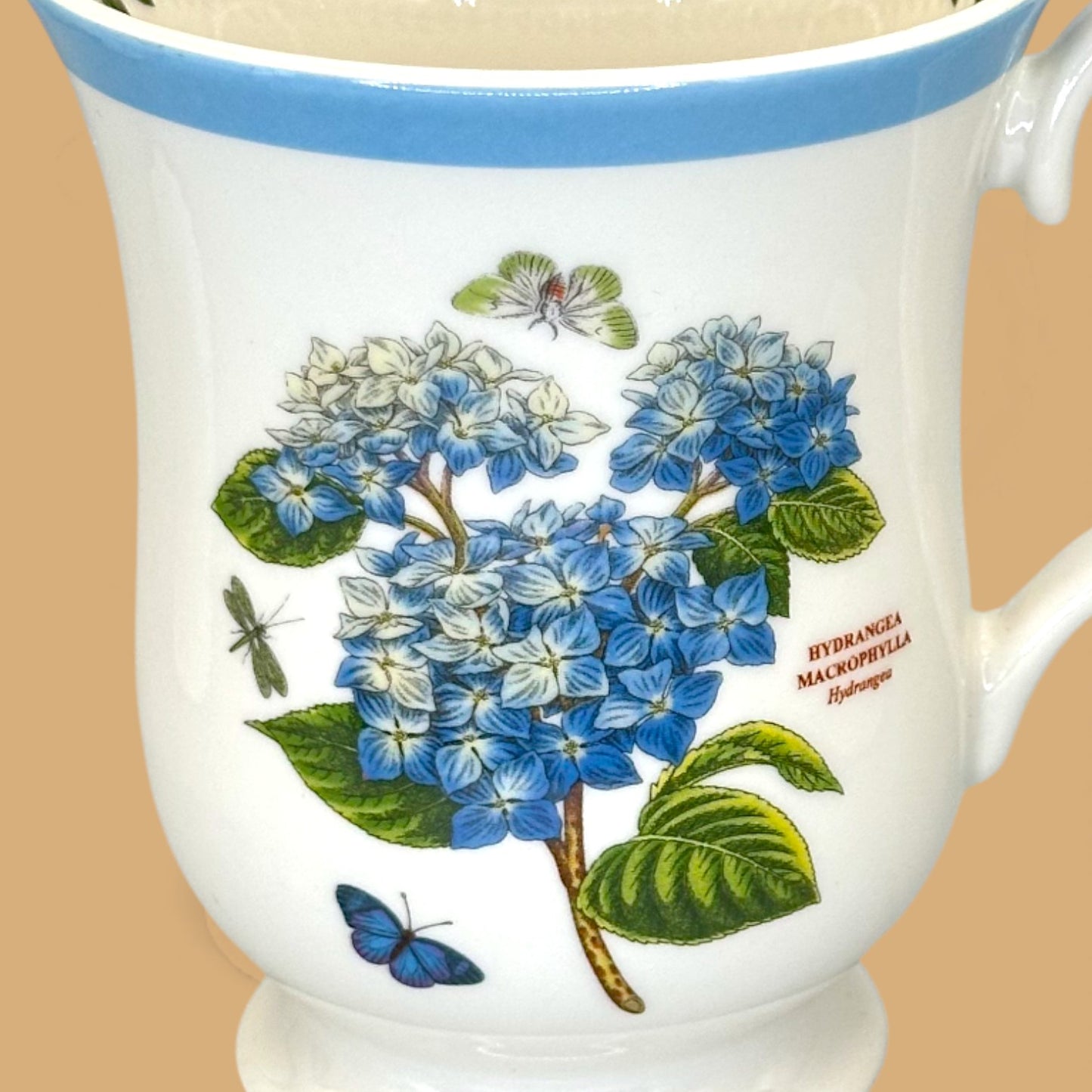 Vintage Portmeirion Botanic Garden Terrace replacement mug ✨