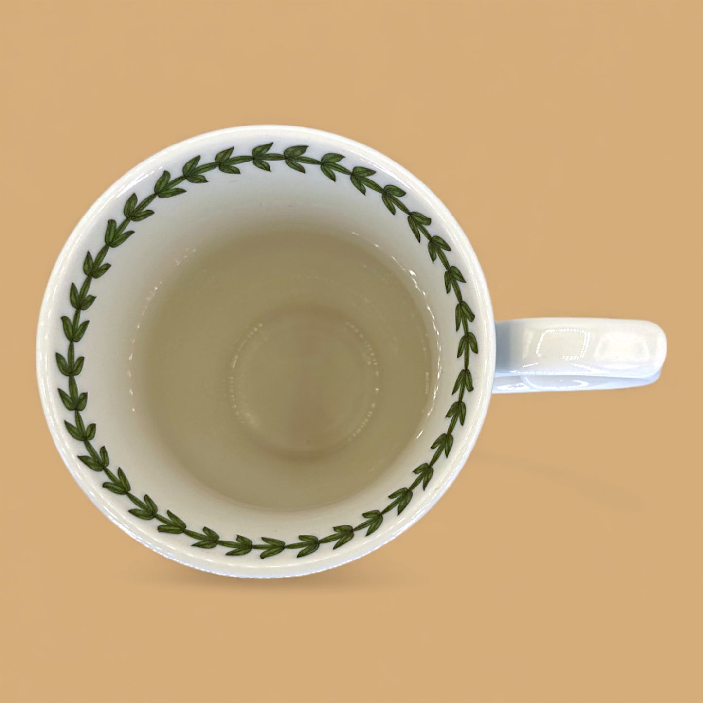 Vintage Portmeirion Botanic Garden Terrace replacement mug ✨