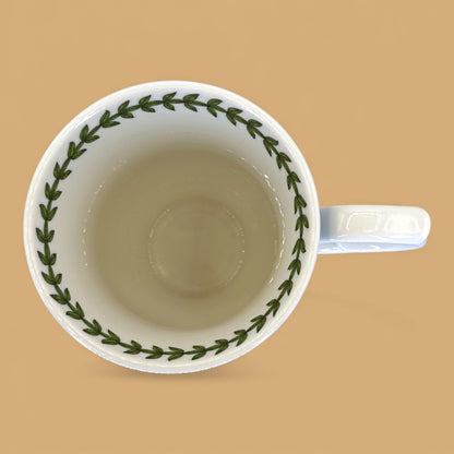 Vintage Portmeirion Botanic Garden Terrace replacement mug ✨