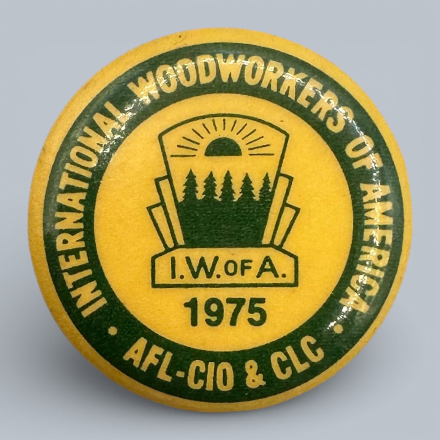 Vintage IWA of A Labour Union Pinback Buttons Collection 1975 - 1986