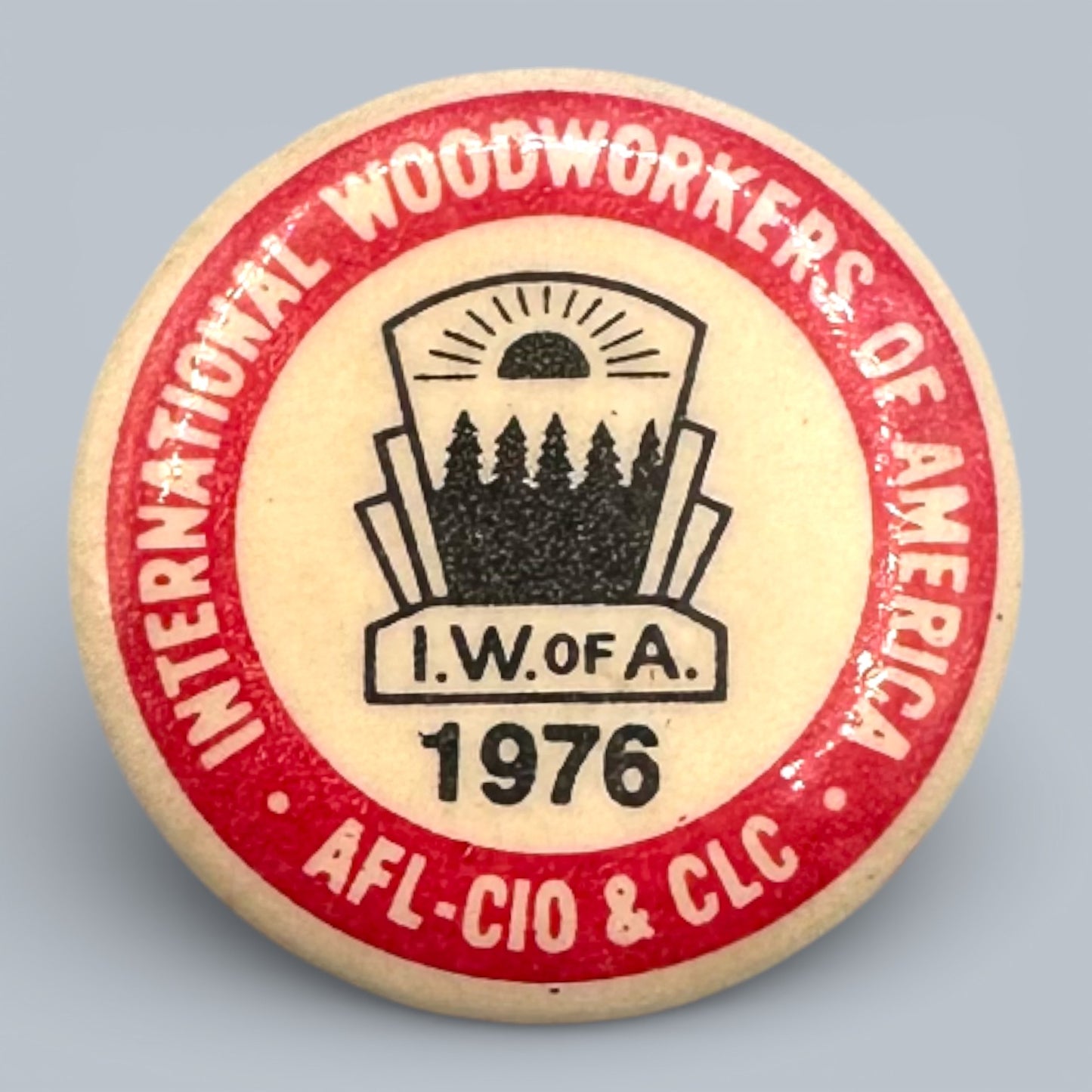 Vintage IWA of A Labour Union Pinback Buttons Collection 1975 - 1986