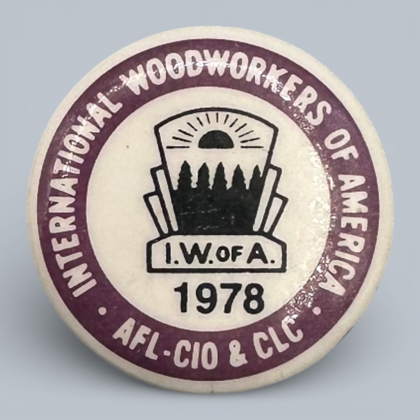 Vintage IWA of A Labour Union Pinback Buttons Collection 1975 - 1986