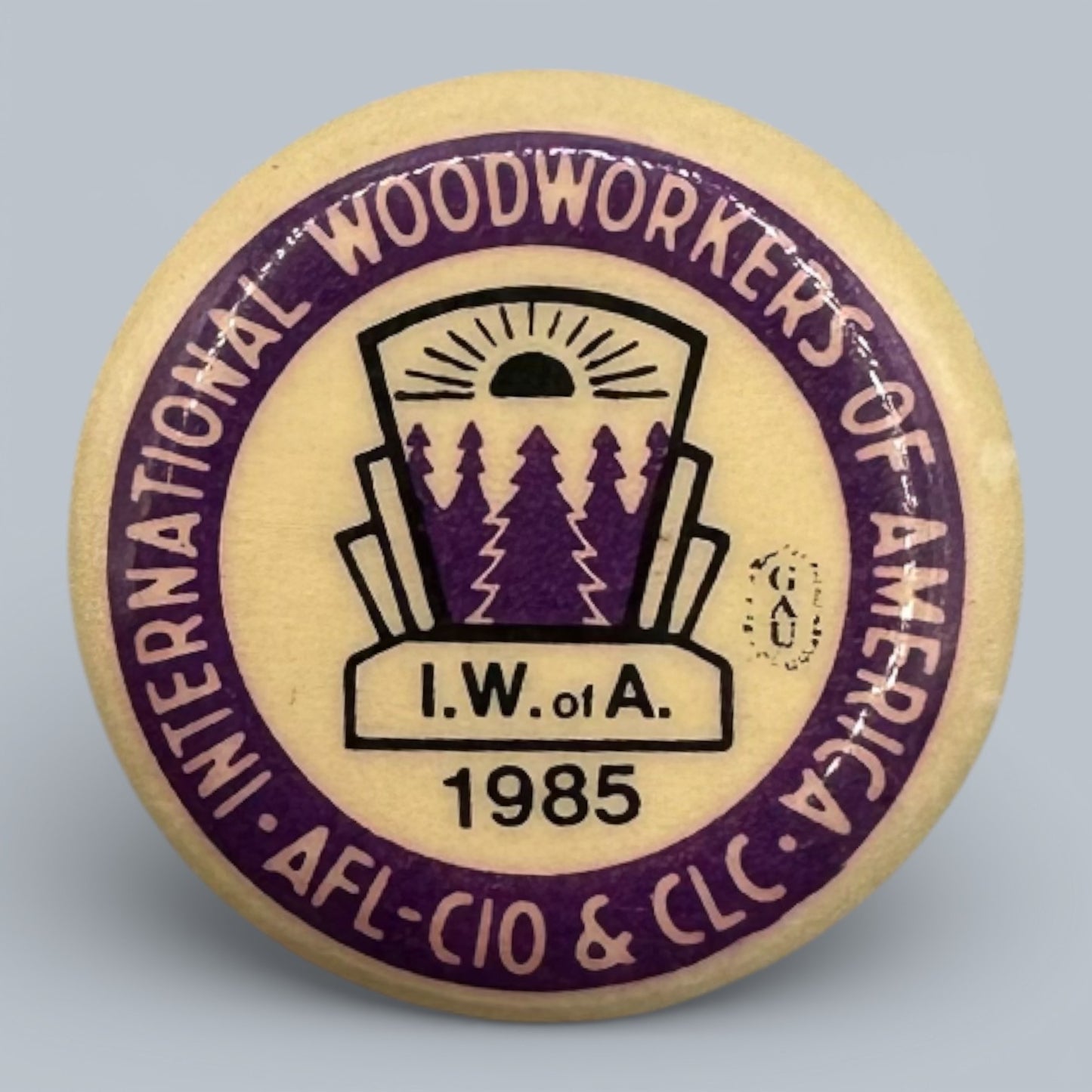 Vintage IWA of A Labour Union Pinback Buttons Collection 1975 - 1986