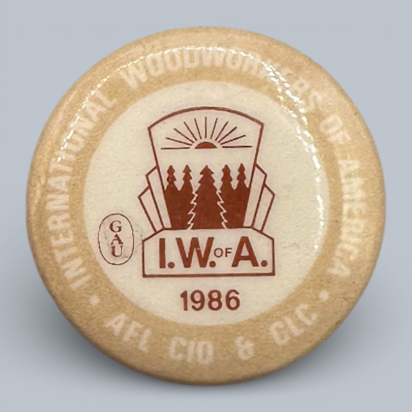 Vintage IWA of A Labour Union Pinback Buttons Collection 1975 - 1986