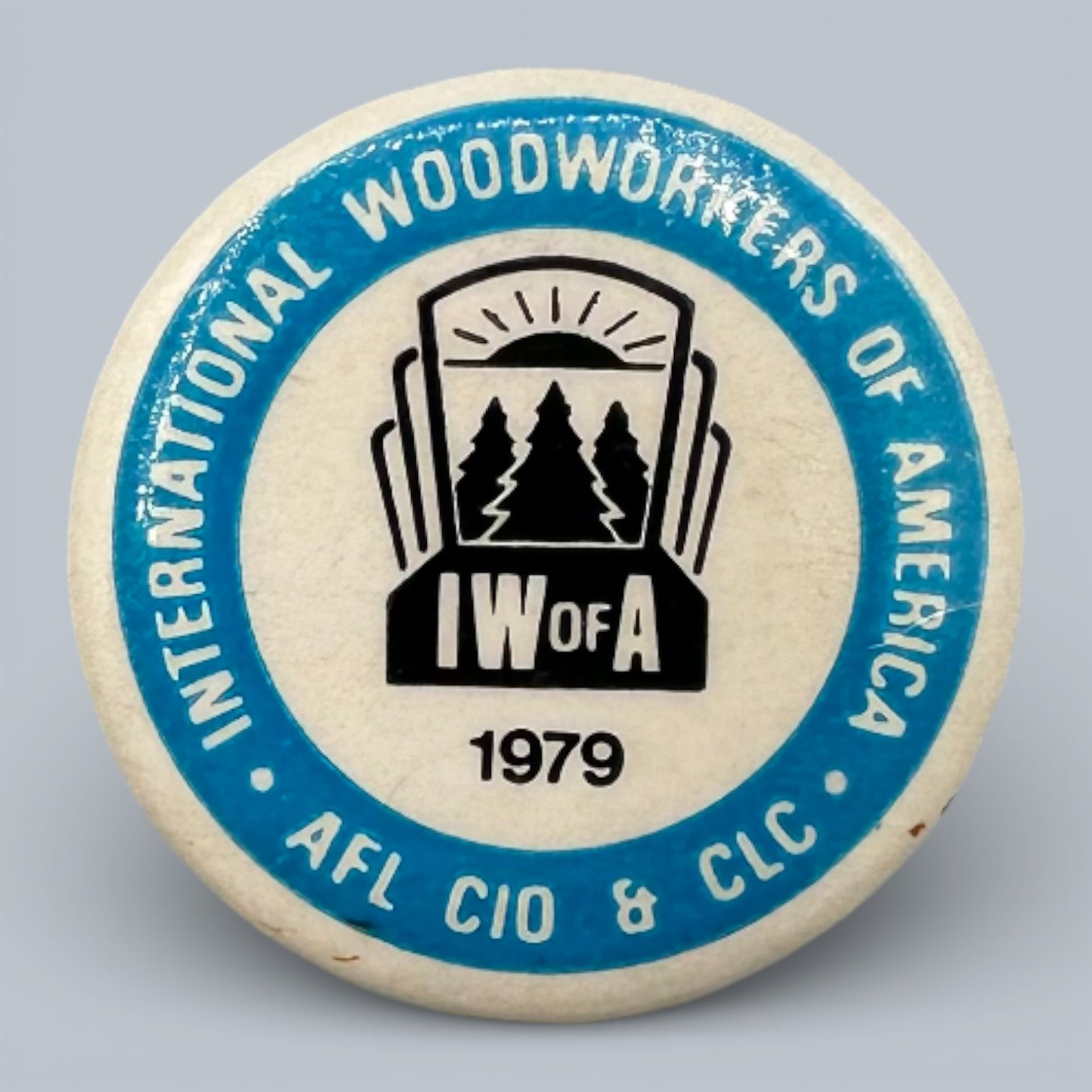 Vintage IWA of A Labour Union Pinback Buttons Collection 1975 - 1986