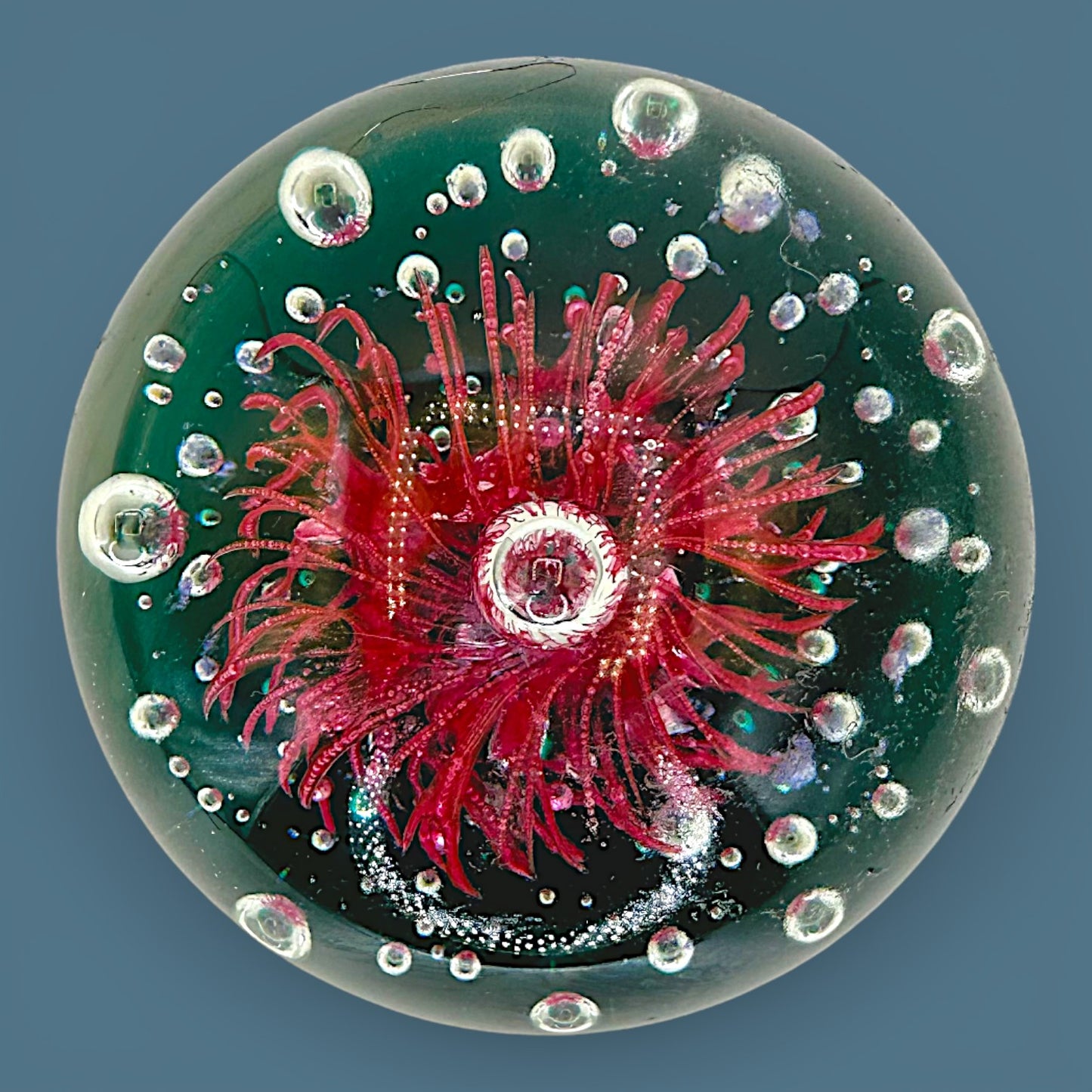 Vintage Art Glass Paperweight Large 4 Inch Red Anemone Flower Controlled Bubble