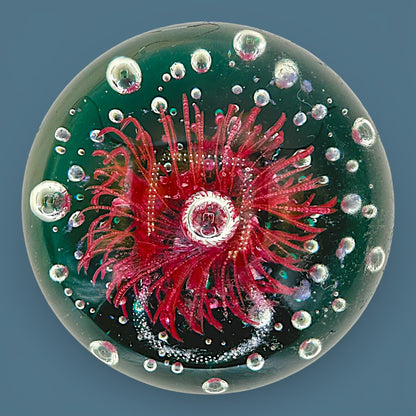 Vintage Art Glass Paperweight Large 4 Inch Red Anemone Flower Controlled Bubble