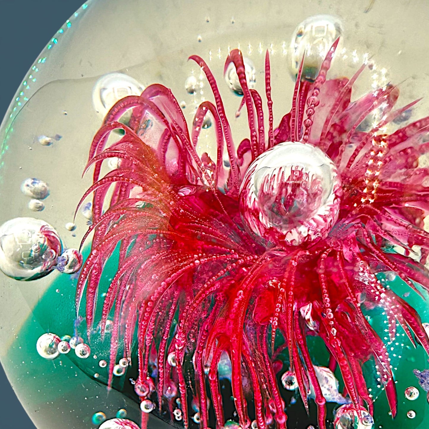 Vintage Art Glass Paperweight Large 4 Inch Red Anemone Flower Controlled Bubble