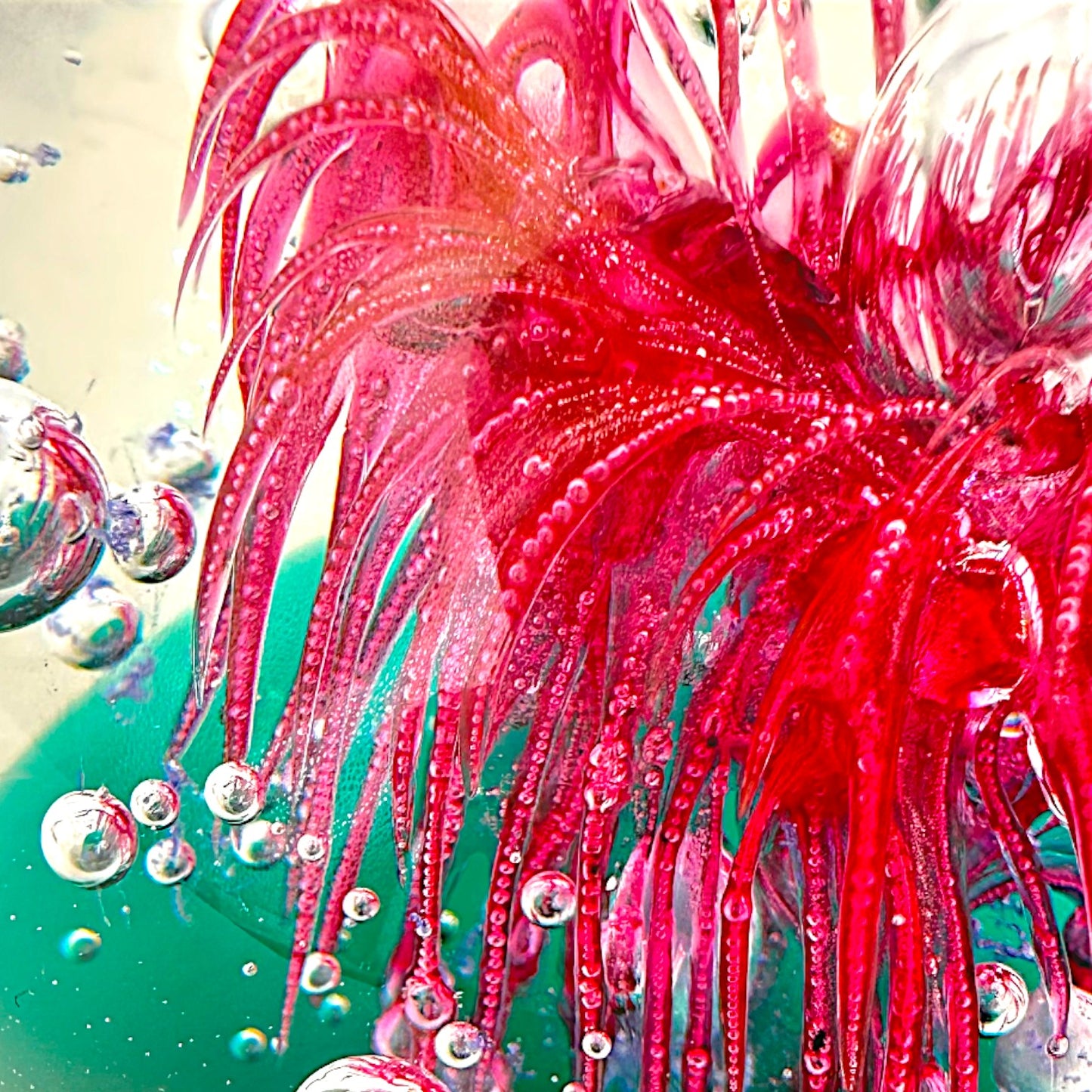 Vintage Art Glass Paperweight Large 4 Inch Red Anemone Flower Controlled Bubble