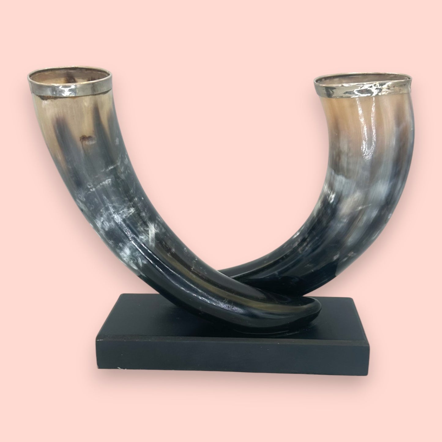 Vintage Silver-Rimmed Bovine Horn Sculpture, Double Horn Trophy on Plinth
