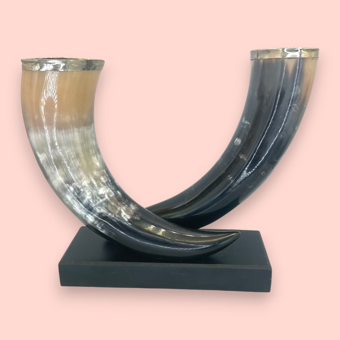 Vintage Silver-Rimmed Bovine Horn Sculpture, Double Horn Trophy on Plinth