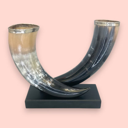 Vintage Silver-Rimmed Bovine Horn Sculpture, Double Horn Trophy on Plinth