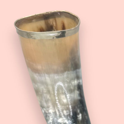 Vintage Silver-Rimmed Bovine Horn Sculpture, Double Horn Trophy on Plinth