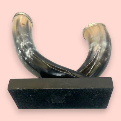 Vintage Silver-Rimmed Bovine Horn Sculpture, Double Horn Trophy on Plinth