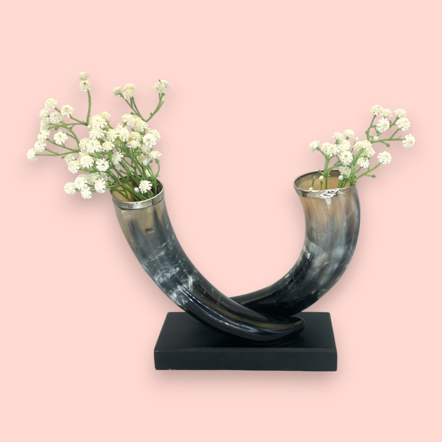 Vintage Silver-Rimmed Bovine Horn Sculpture, Double Horn Trophy on Plinth