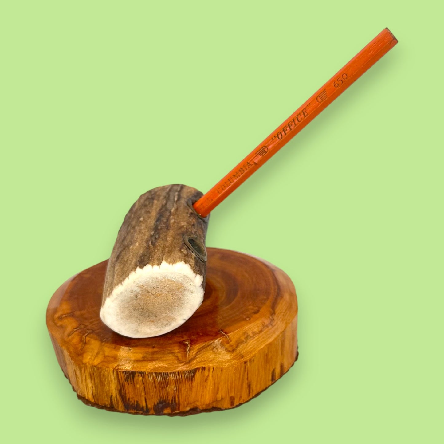 Antler and Cedar Wood Pencil Holder - Rustic Desk Accessory