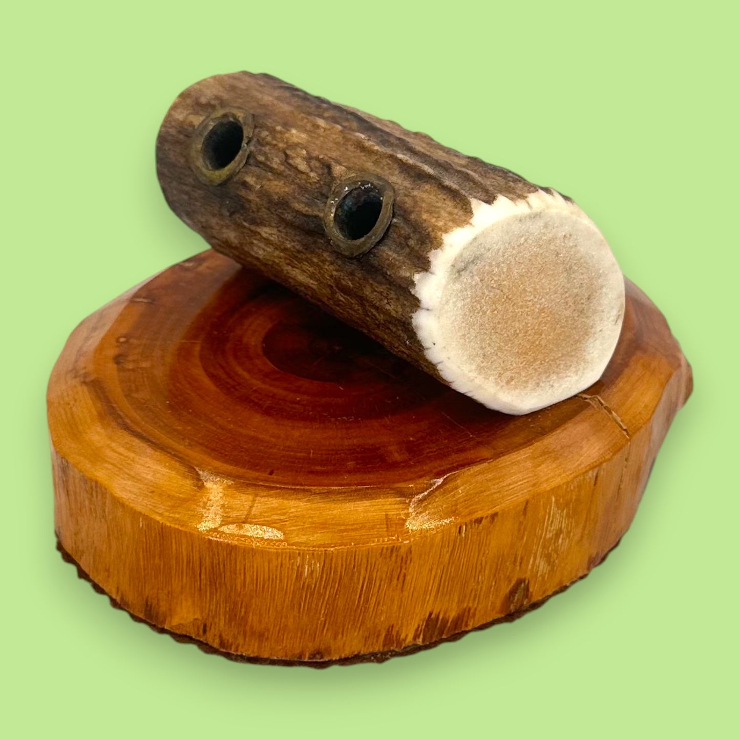 Antler and Cedar Wood Pencil Holder - Rustic Desk Accessory