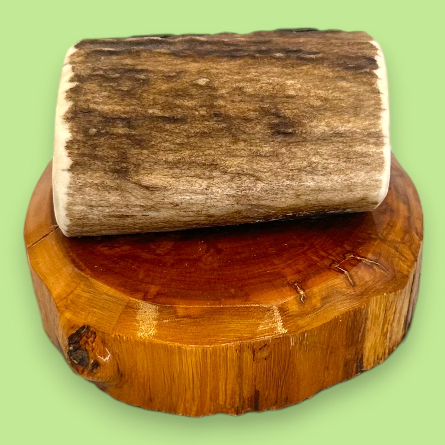 Antler and Cedar Wood Pencil Holder - Rustic Desk Accessory