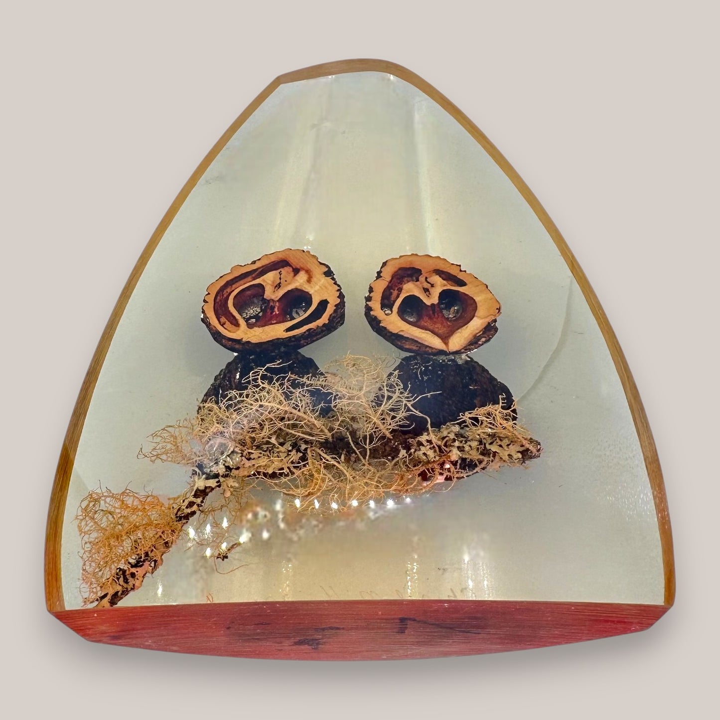 Vintage Resin Owl Paperweight Signed Chris & Molly 1981 Walnut Shell Art