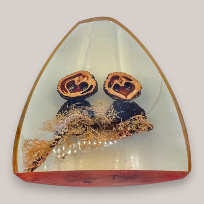 Vintage Resin Owl Paperweight Signed Chris & Molly 1981 Walnut Shell Art