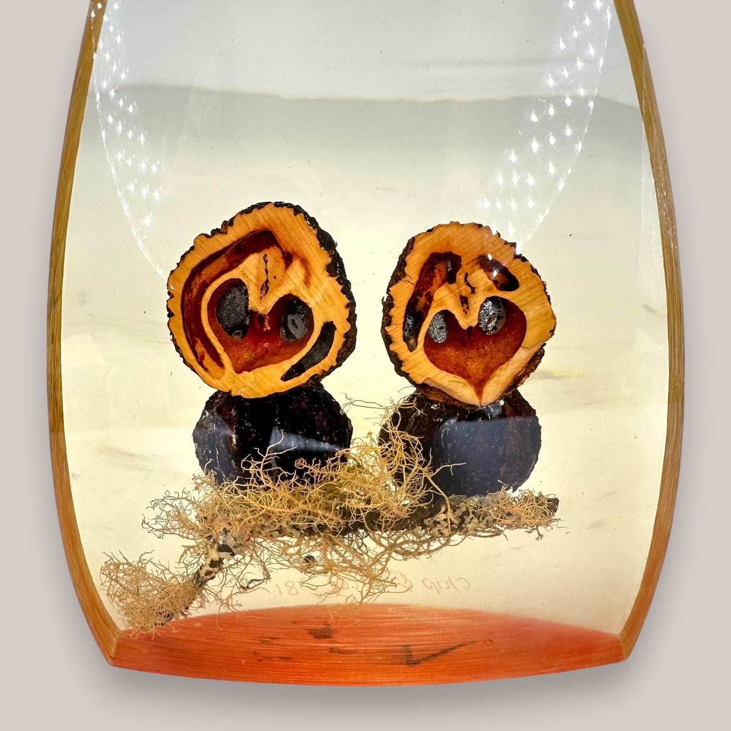 Vintage Resin Owl Paperweight Signed Chris & Molly 1981 Walnut Shell Art