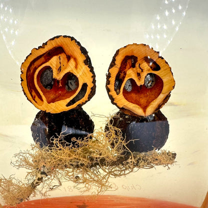 Vintage Resin Owl Paperweight Signed Chris & Molly 1981 Walnut Shell Art