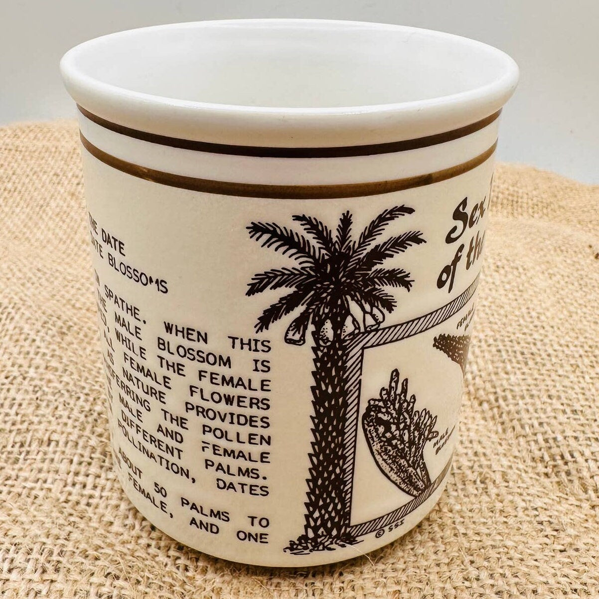 UNIQUE Sex Life Of A Date Palm Souvenir Mug