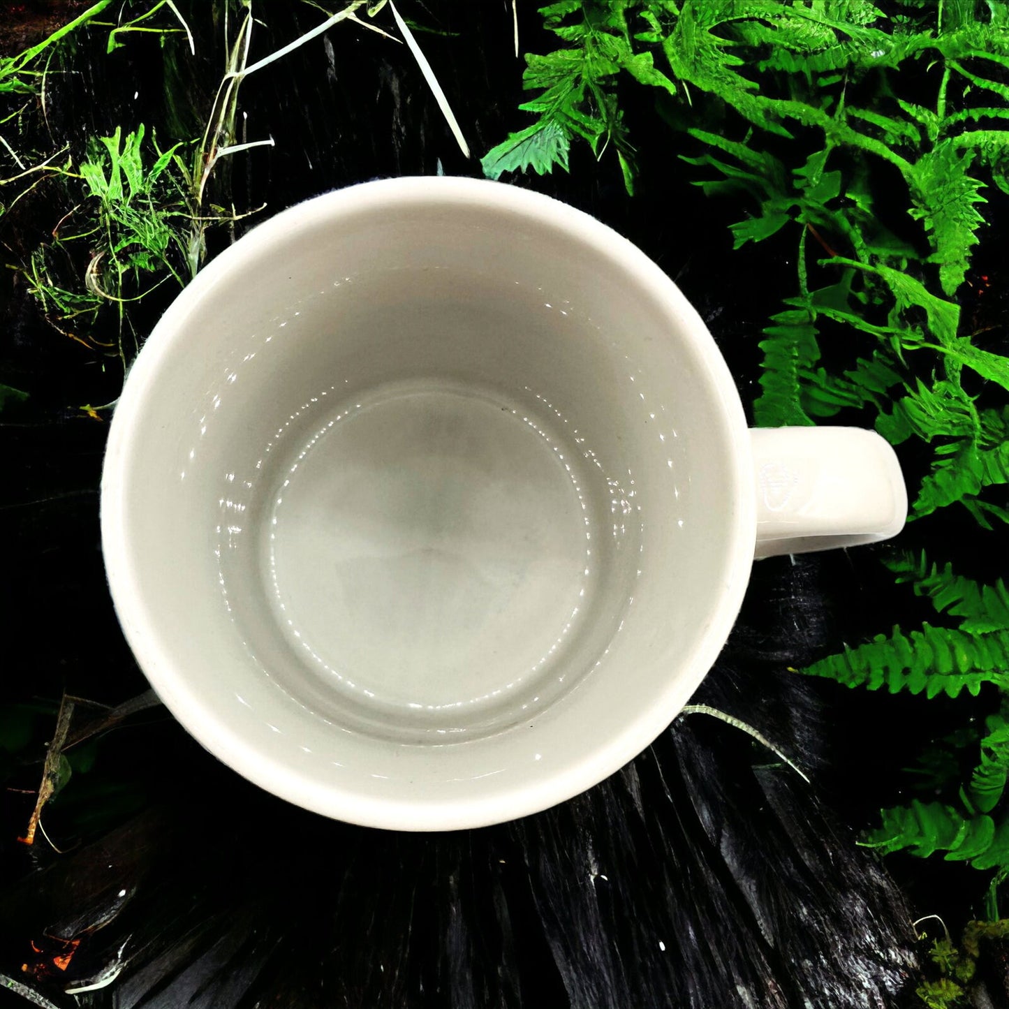 Vintage Starbucks JAVA Mug