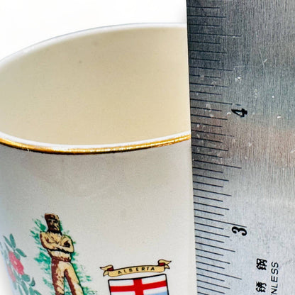 Vintage Gold Rimmed Peace River Alberta Canada Souvenir Mug - 1960's